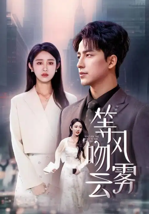 云上归途 热播电视剧全集